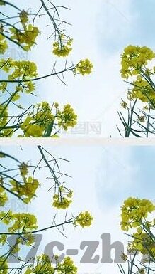 成人吃奶视频-成人吃奶视频，一个复杂而敏感的社会议题