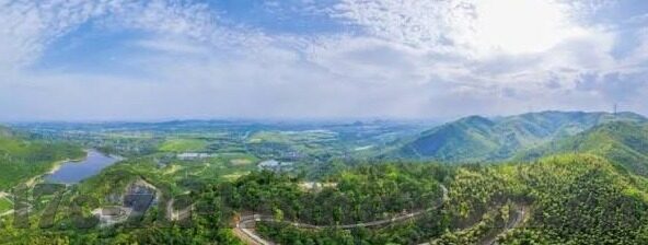 少妇无码av麻豆专区线-温柔的力量，透视现代少妇的心灵地图